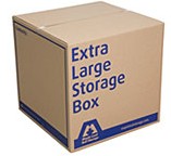 Extra Large