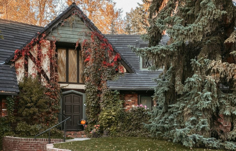 Moving to Calgary: 7 Reasons Why You Should Take the First Step