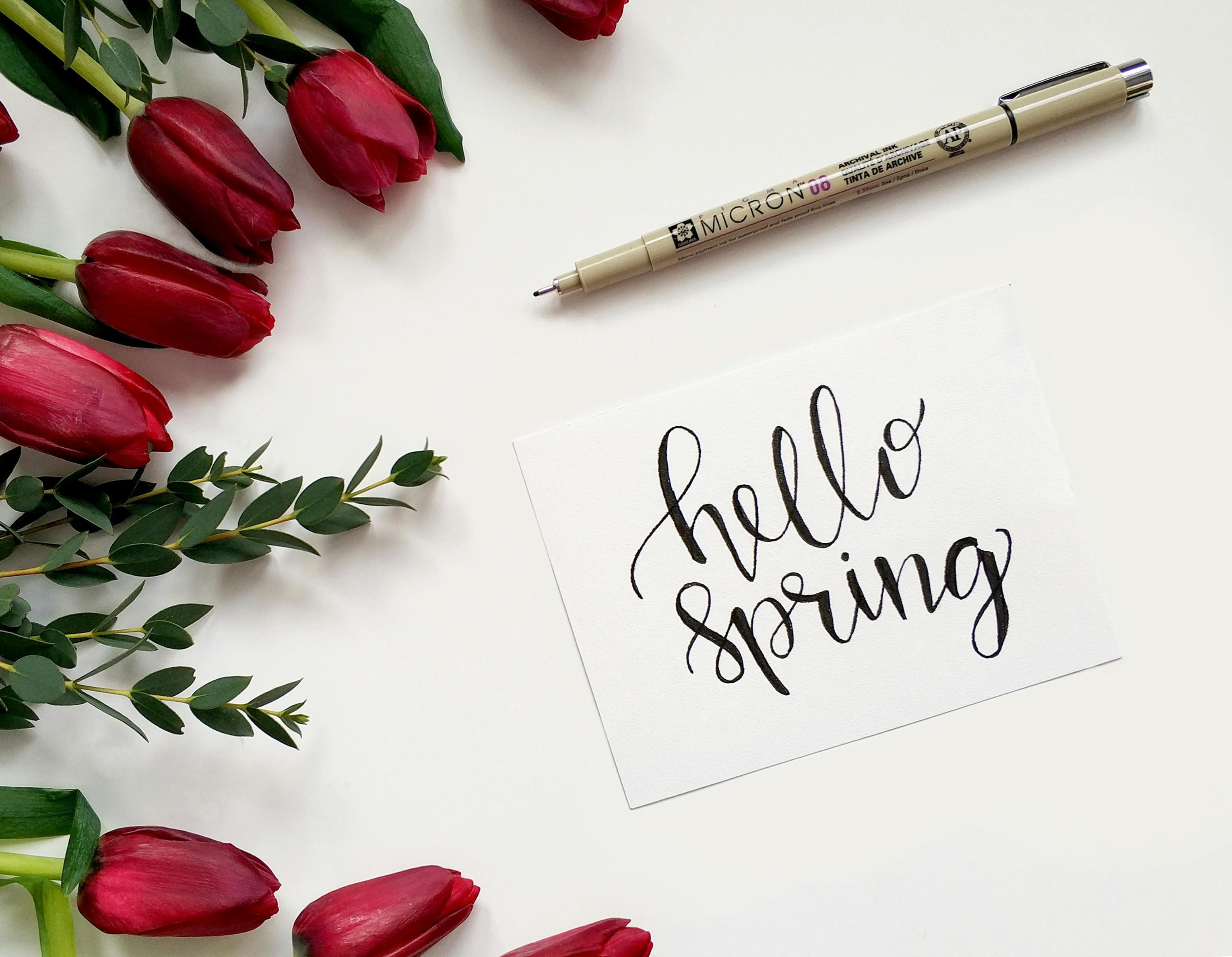 A picture of a postcard titled "hello spring" in cursive, with red roses surrounding the postcard