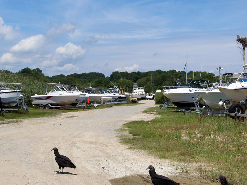 Breezy Point Resort Marina 5230 Breezy Point Road Chesapeake Beach, MD 20732 Breezy Point Resort Marina 5230 Breezy Point Road Chesapeake Beach, MD 20732