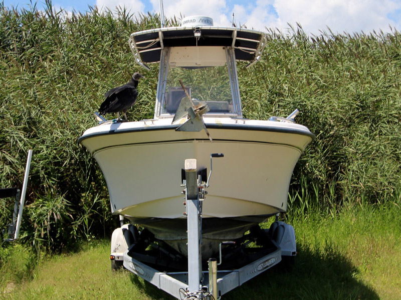 Breezy Point Resort Marina 5230 Breezy Point Road Chesapeake Beach, MD 20732 Breezy Point Resort Marina 5230 Breezy Point Road Chesapeake Beach, MD 20732