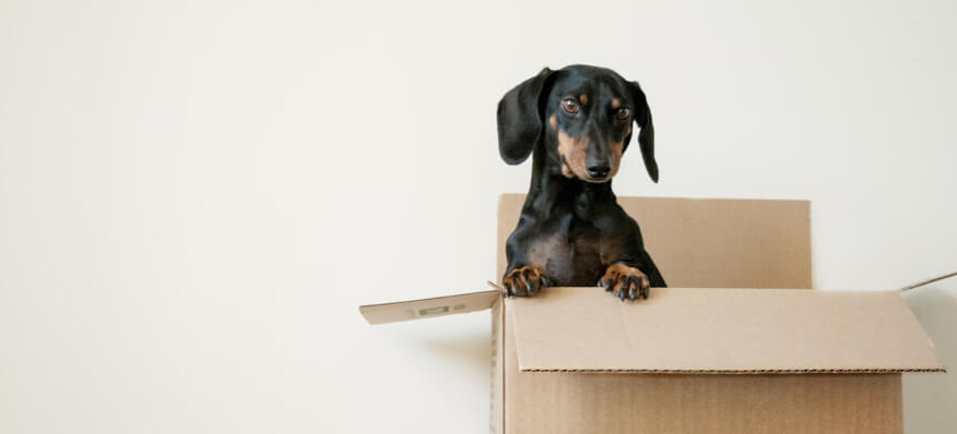 Storage Tips in Bethlehem, PA