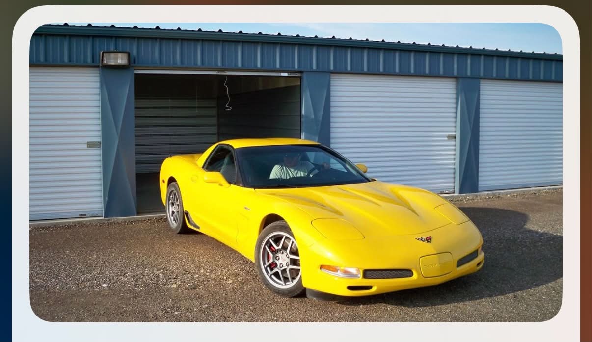 vette