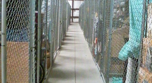 Gated storage in Clearwater, FL