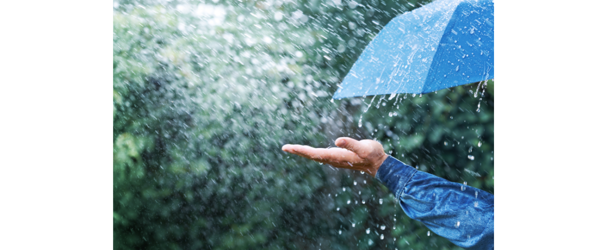 Rainy Season in Ocala: Why Covered, Drive-Up Storage Matters More Than Ever Rainy Season in Ocala: Why Covered, Drive-Up Storage Matters More Than Ever