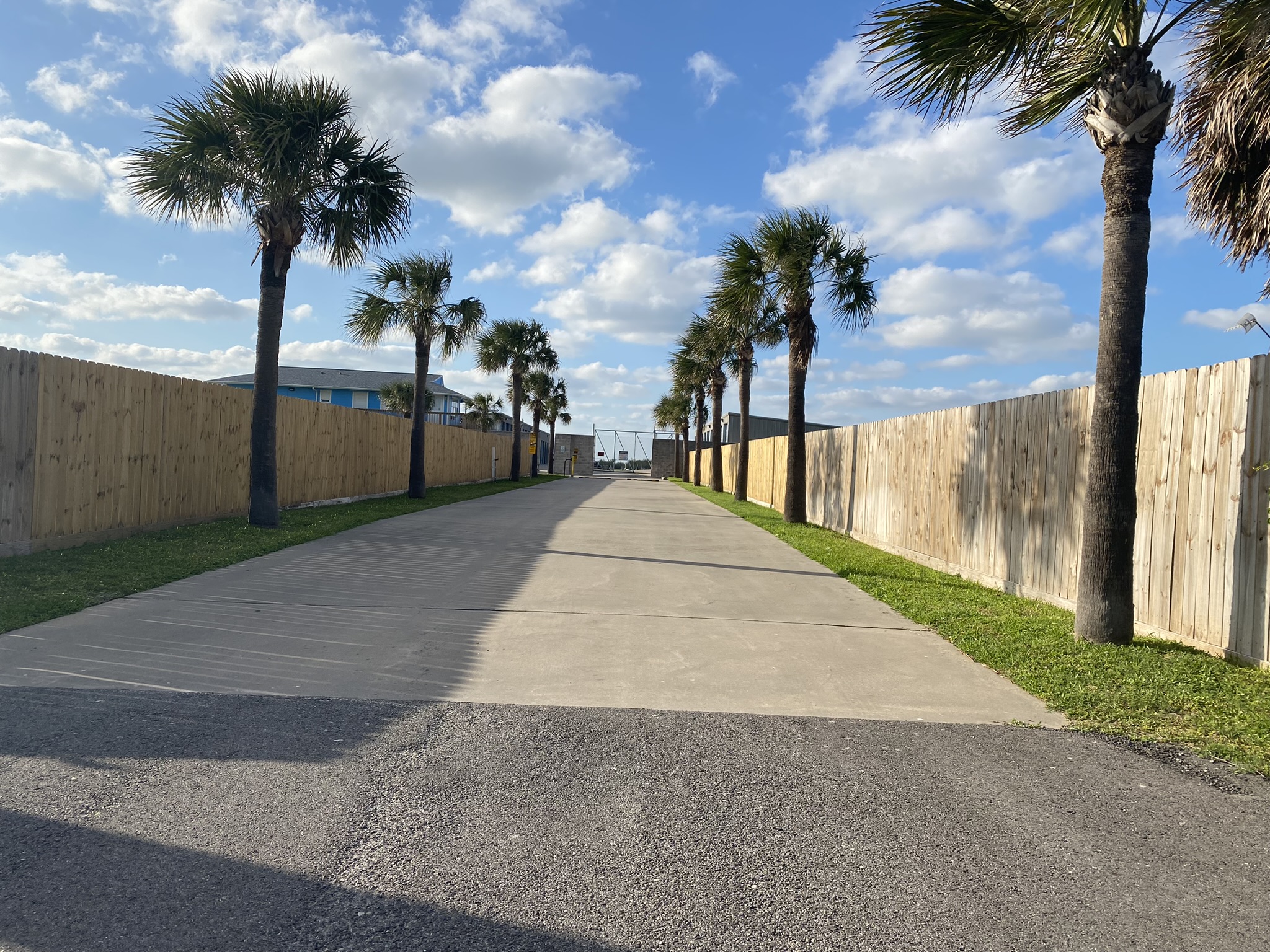 Gated entrance driveway lined with palm trees at Bayside Storage in Galveston, TX, offering secure coastal storage near Jamaica Beach