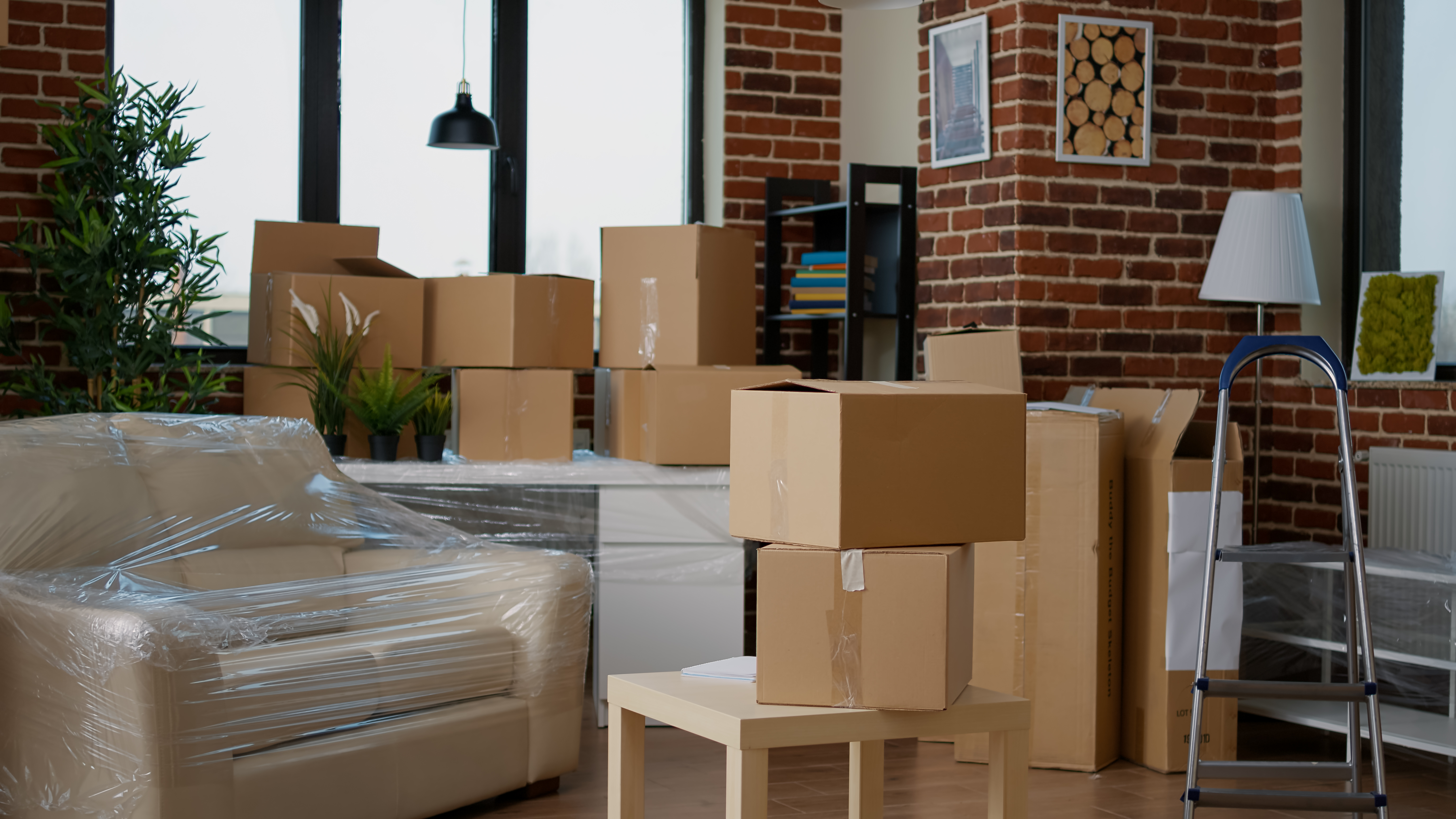 Apartment storage near Lakeway, TX, with labeled bins and organized household items in a small, clean unit