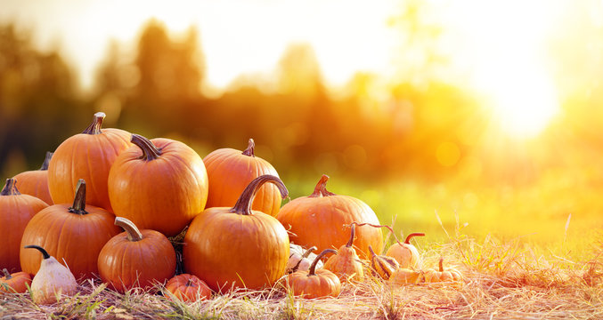 Fall