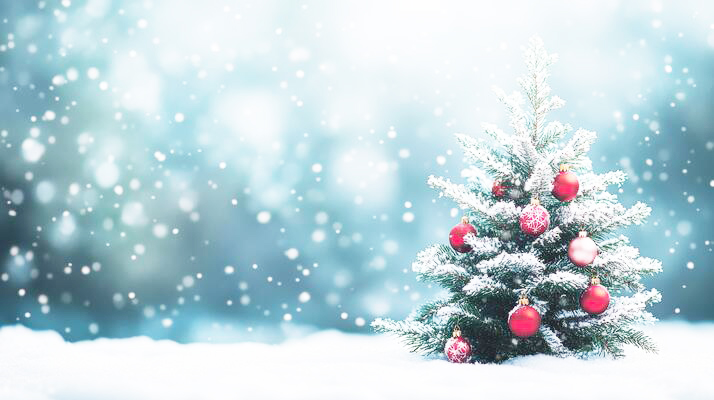 Winter Banner Header