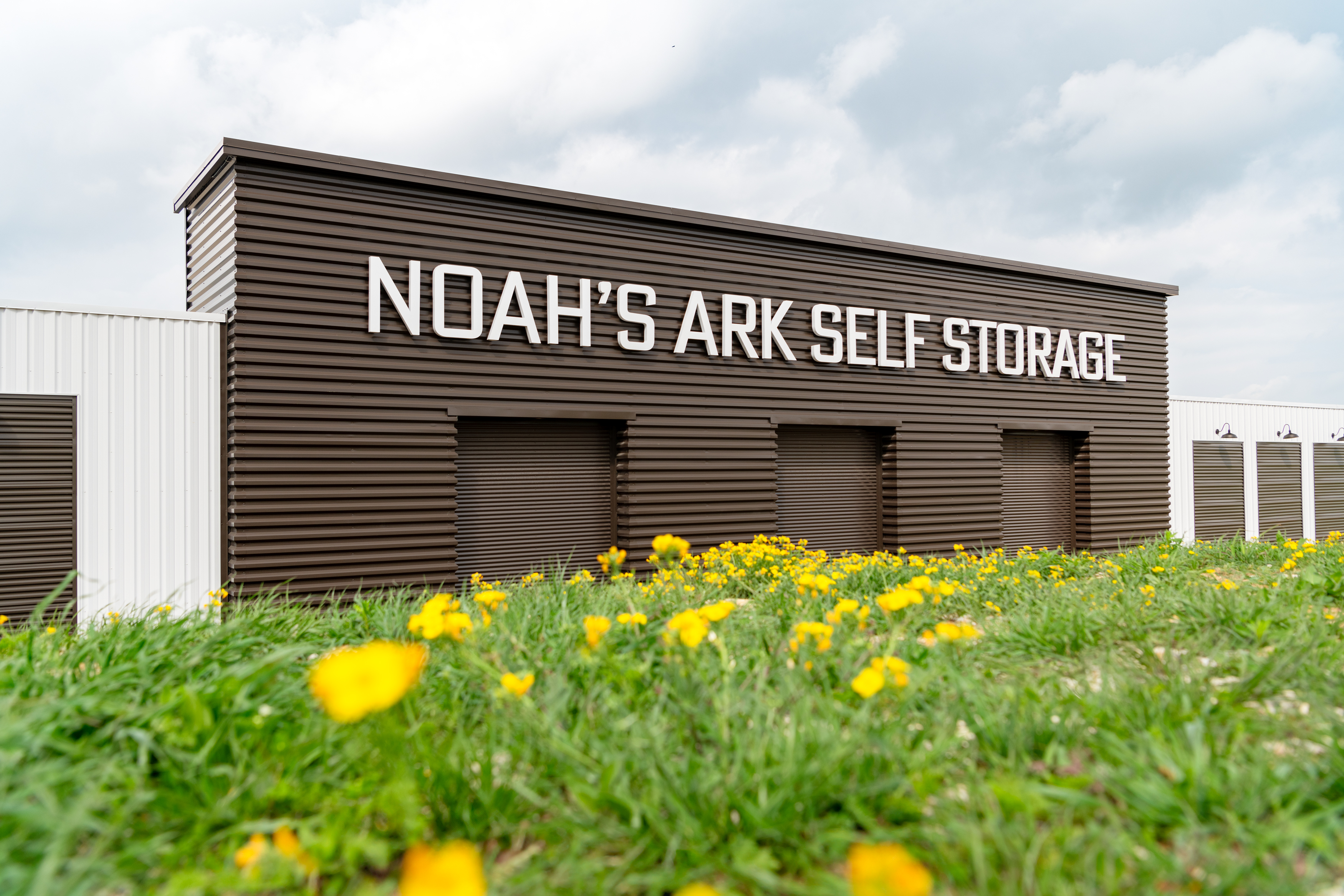 Front Of Noah's Ark Rhome