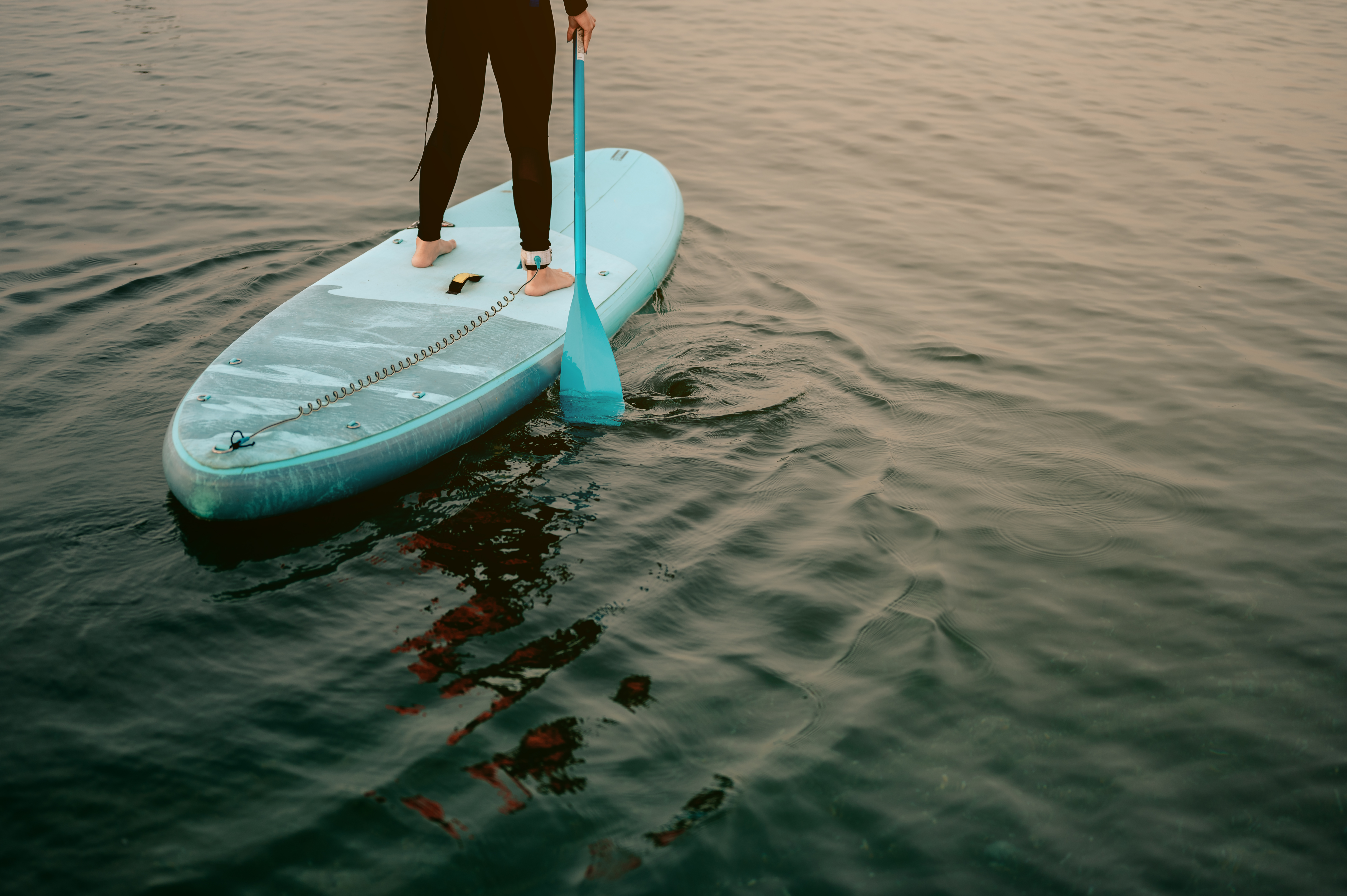 Paddleboard Rentals