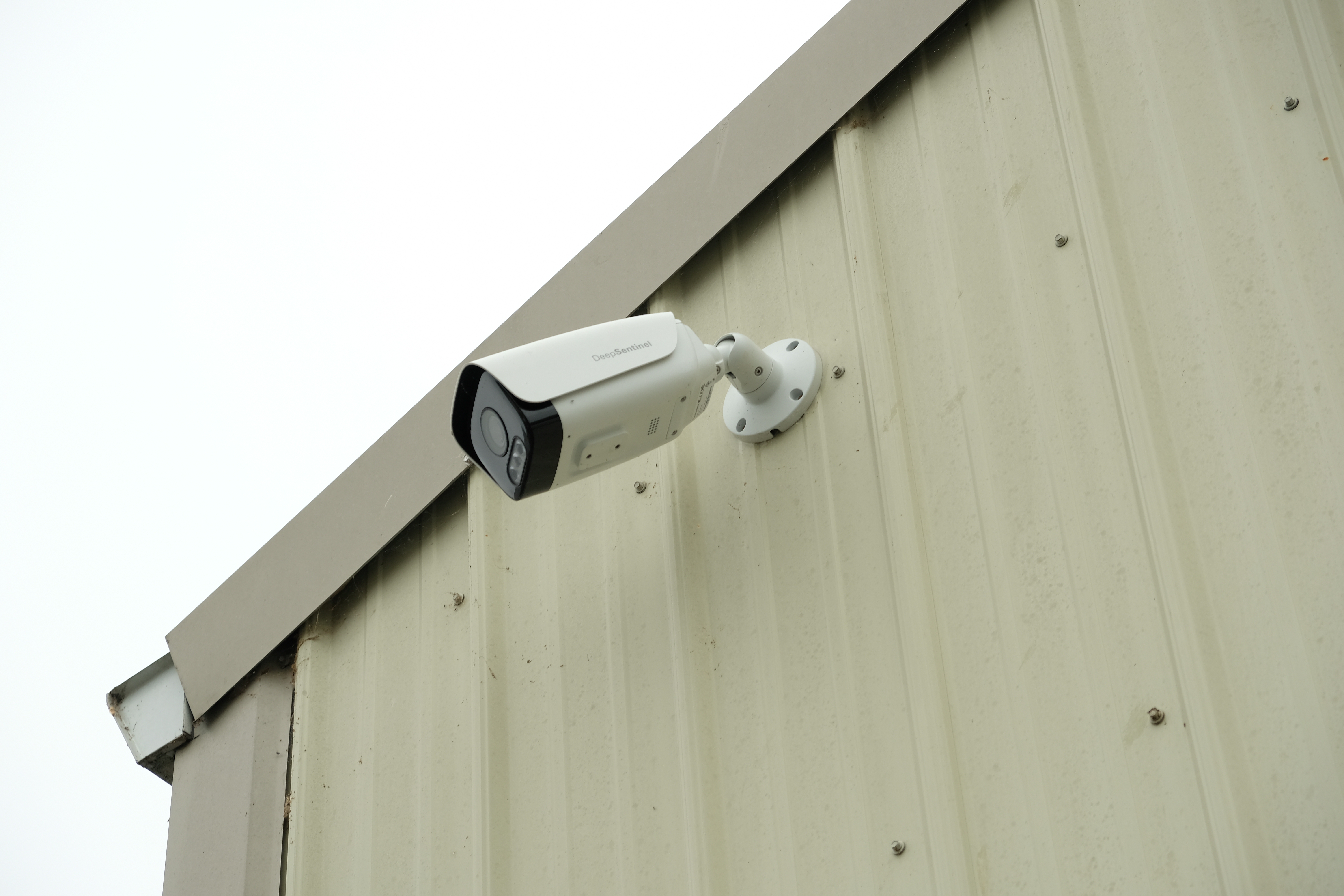 Security Cameras and Live Guard Services