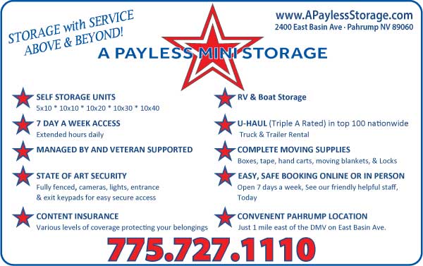 A Payless Mini Storage Advertisement
