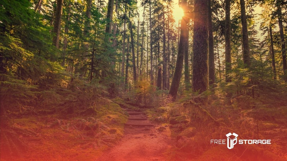 Tips on moving to Black Diamond Tips on moving to Black Diamond