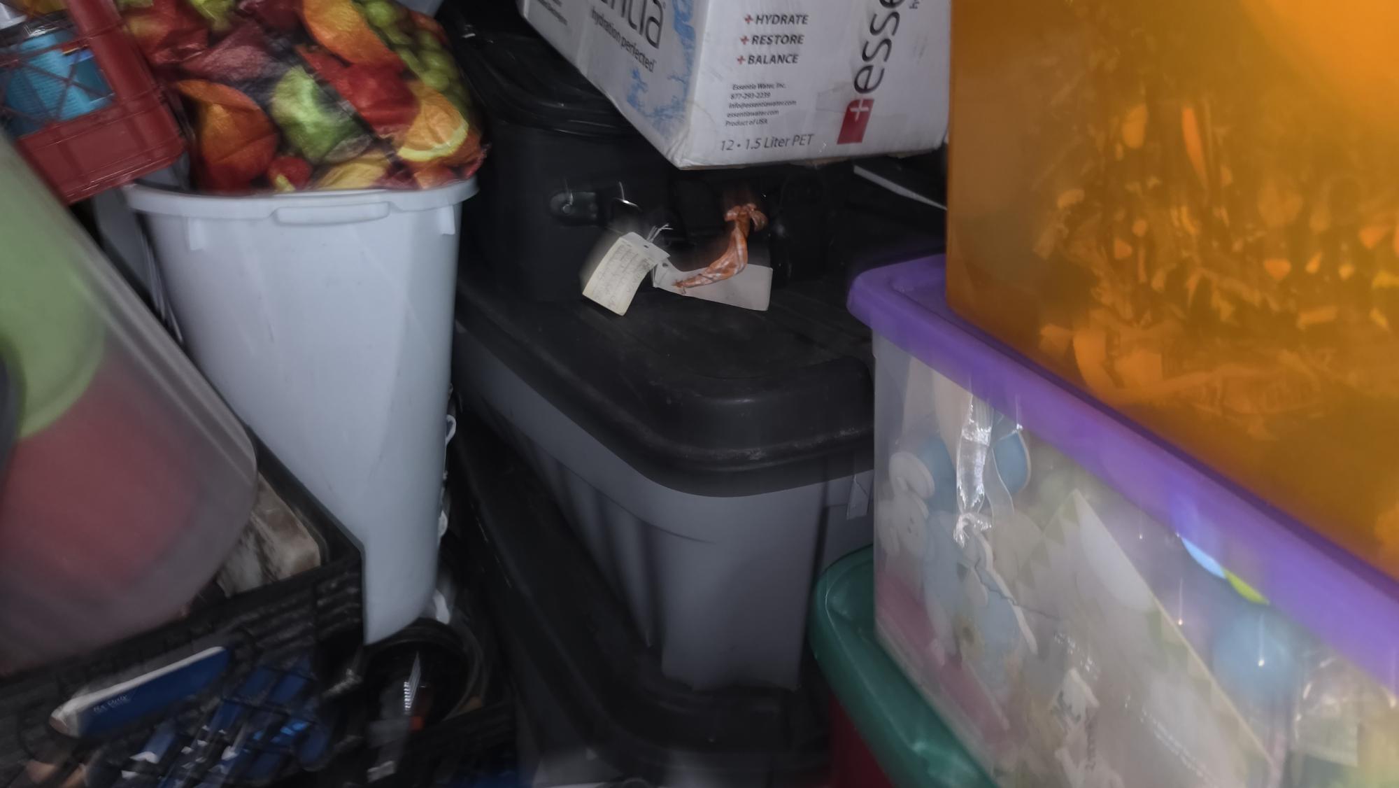 Auction 8/26