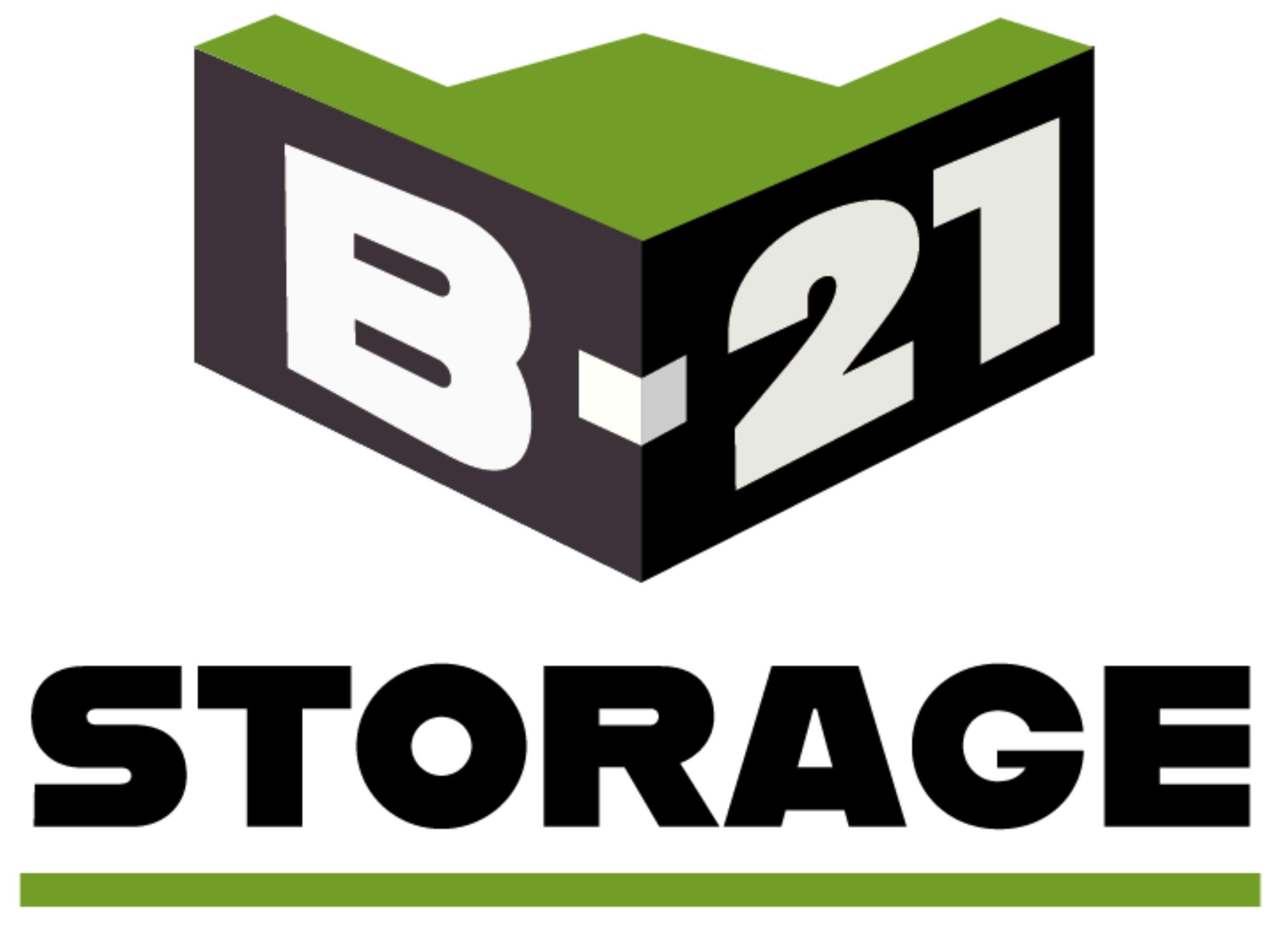 B-21 Storage Logo B-21 Storage Logo