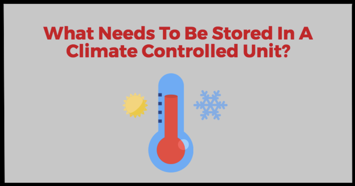 What Needs To BE Stored In A Climate Controlled Unit?