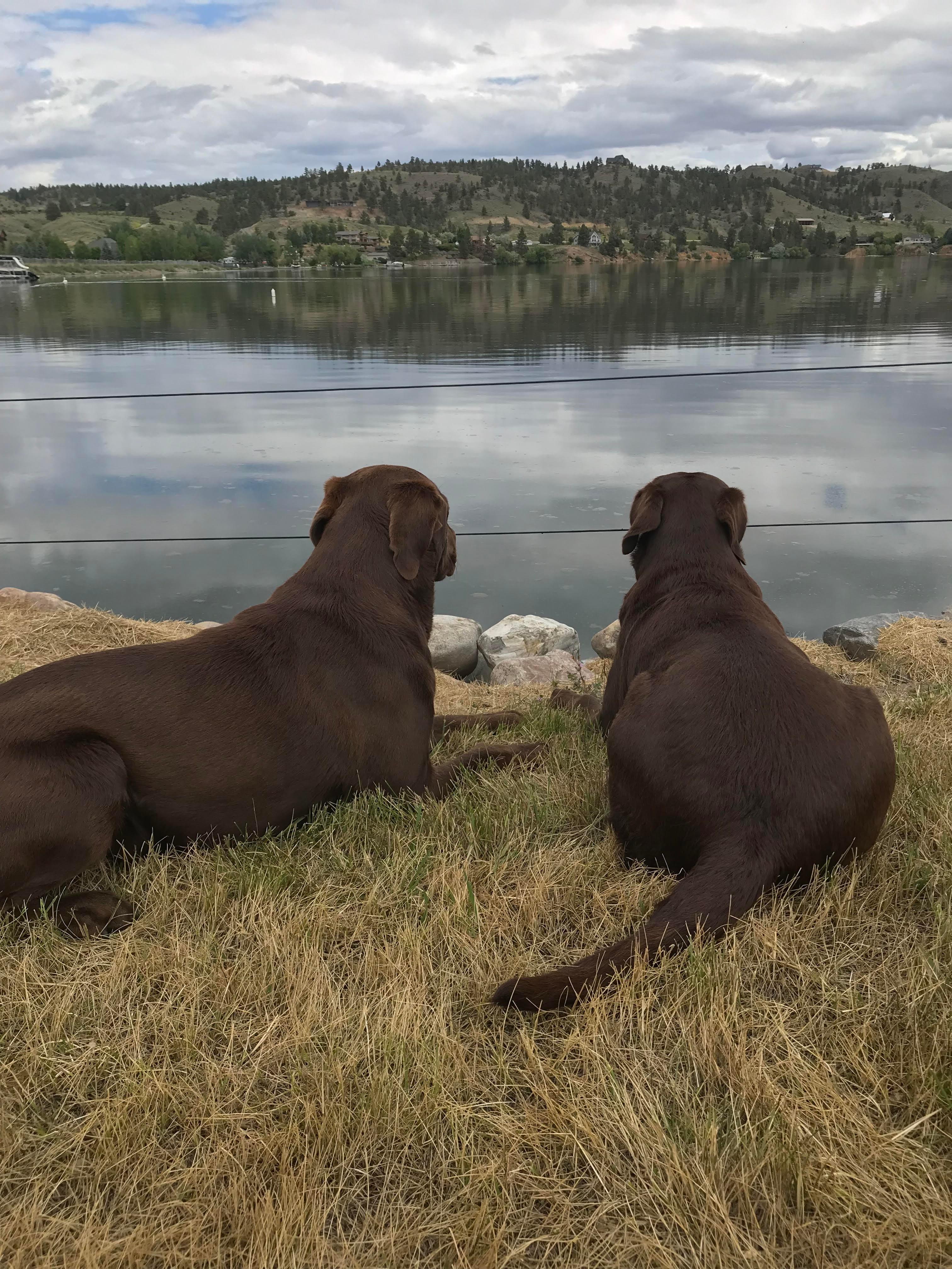 Helena Valley Rentals (406) 690-7663 info@helenavalleyrentals.com