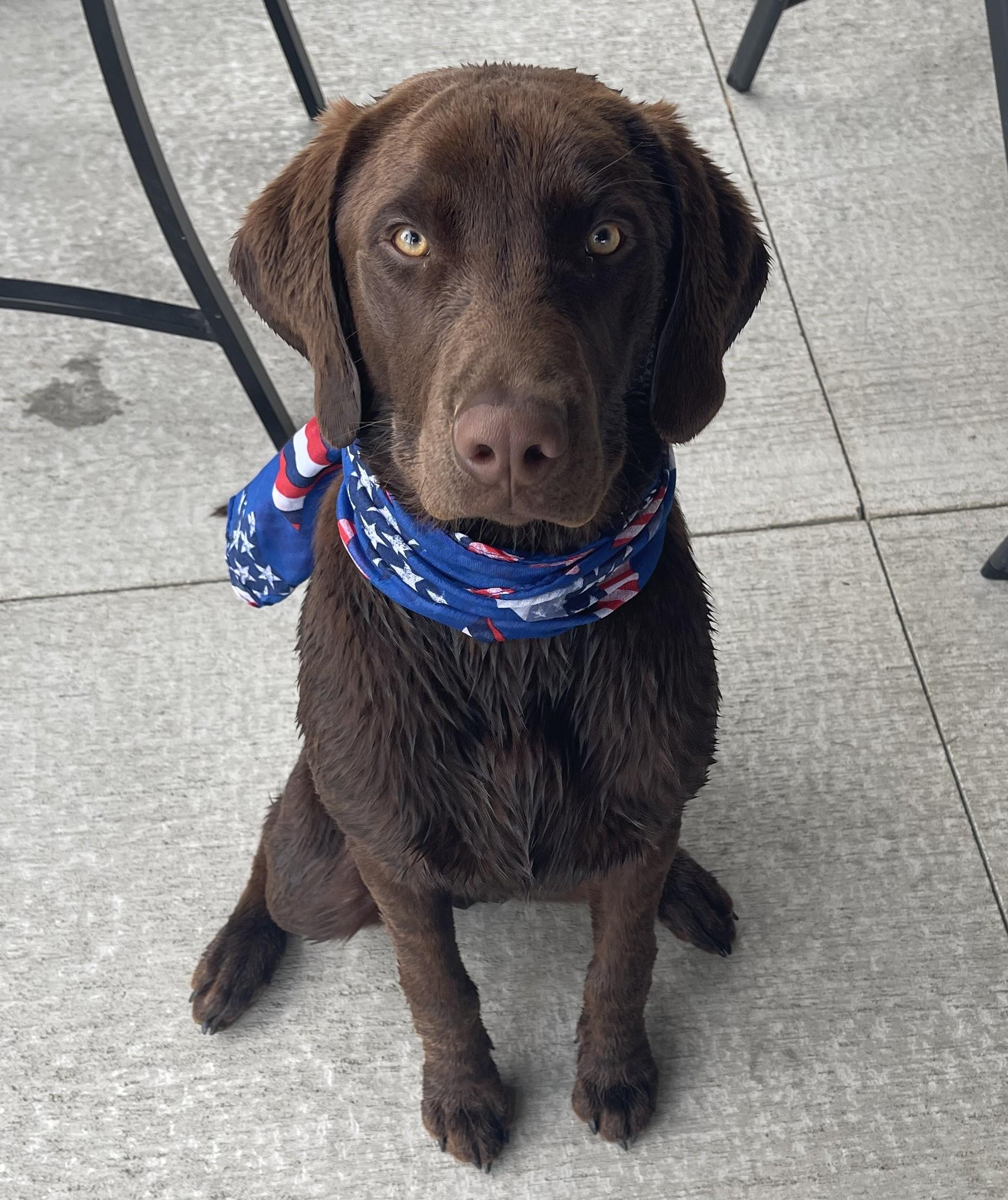 Helena Valley Rentals (406) 690-7663 info@helenavalleyrentals.com