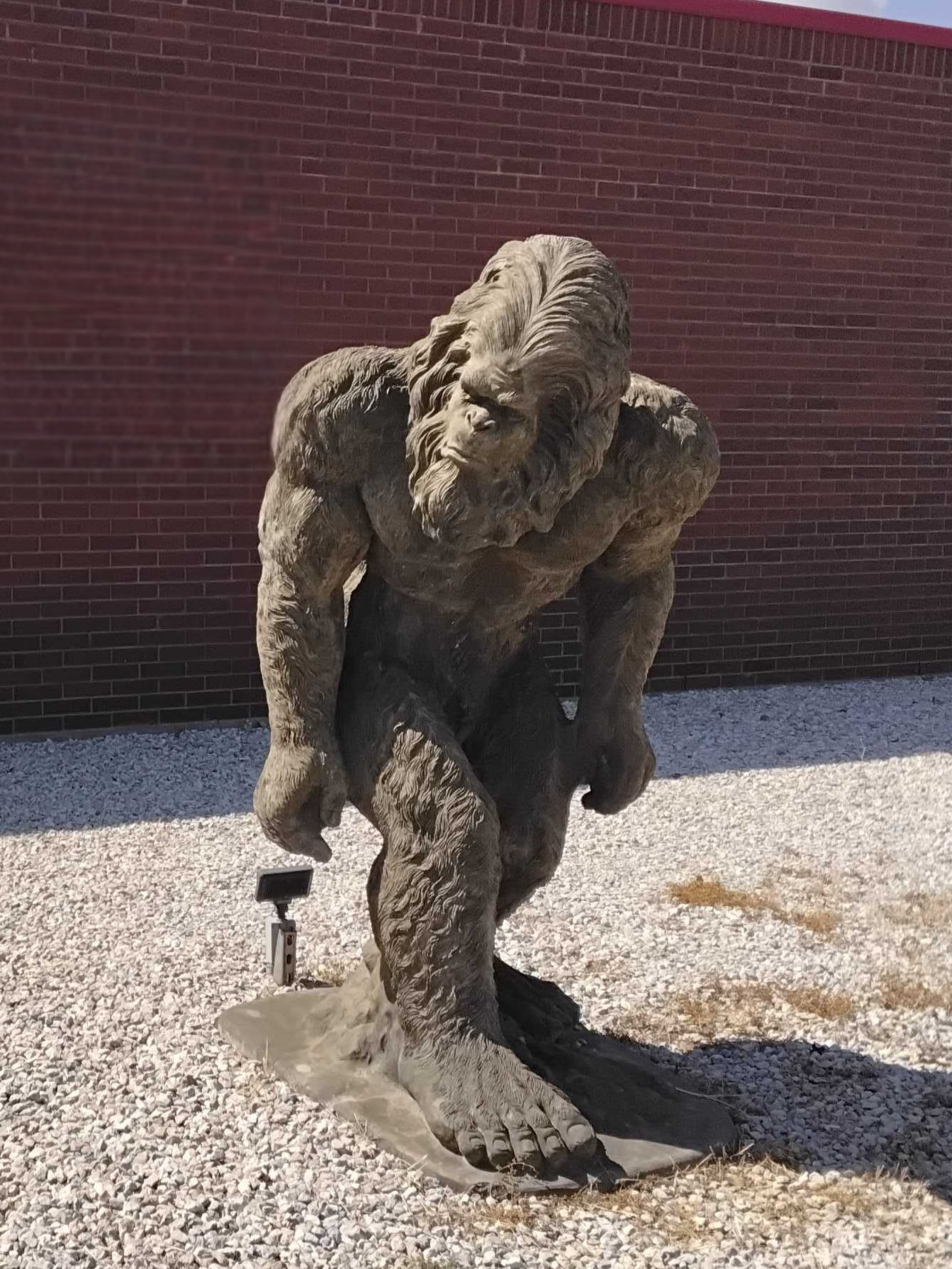 The Bigfoot statue at Bigfoot Storage on the Hwy 380 Bypass in Graham, TX