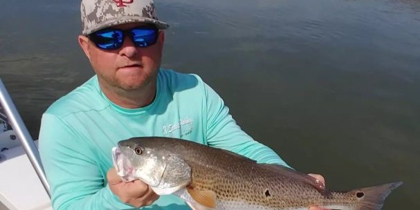 Lively Redfish Capture In Florida Waters Lively Redfish Capture In Florida Waters
