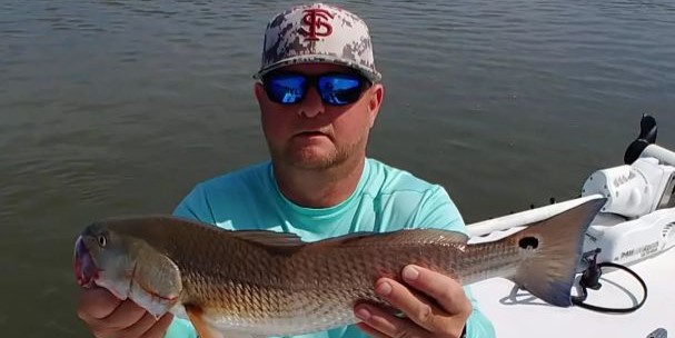 St. Augustine Redfish Beauty St. Augustine Redfish Beauty