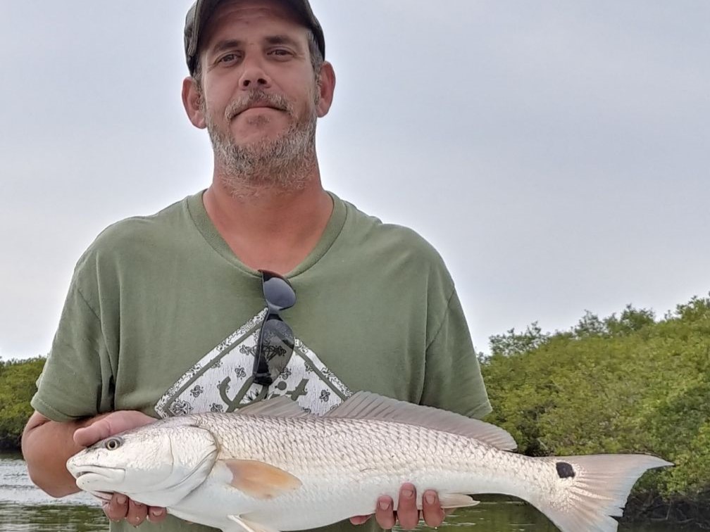 Sleek Redfish Beauty In Florida Waters Sleek Redfish Beauty In Florida Waters