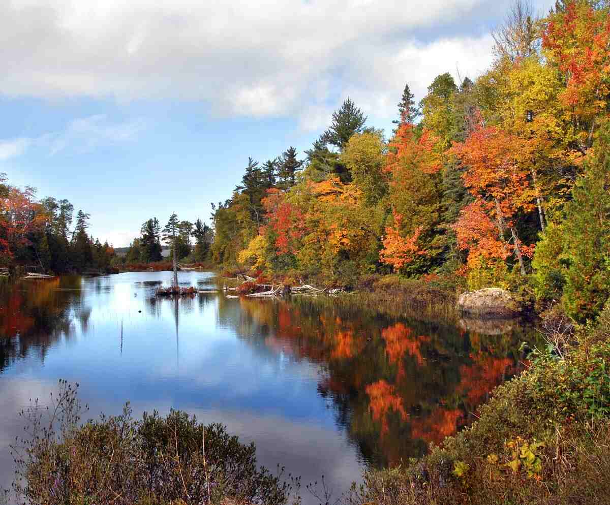 Michigan in the Fall
