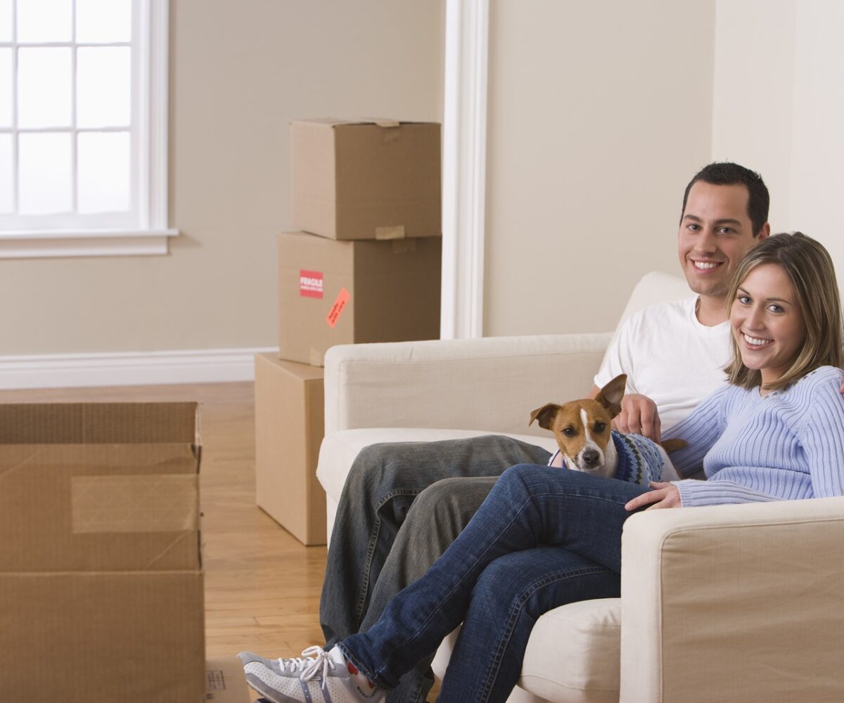 Planning a Move with Pets