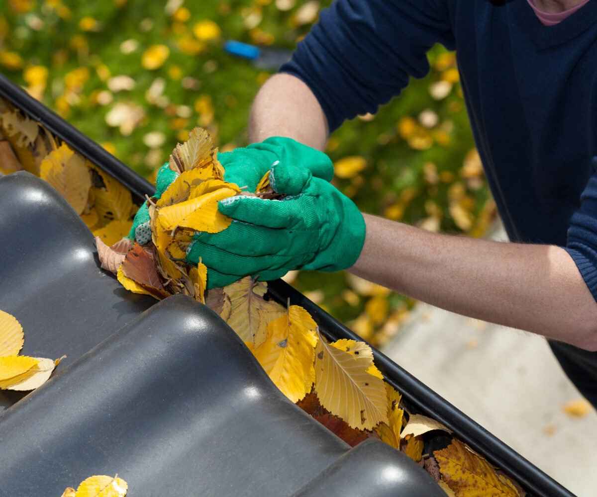 Fall Cleaning & Organization Tips