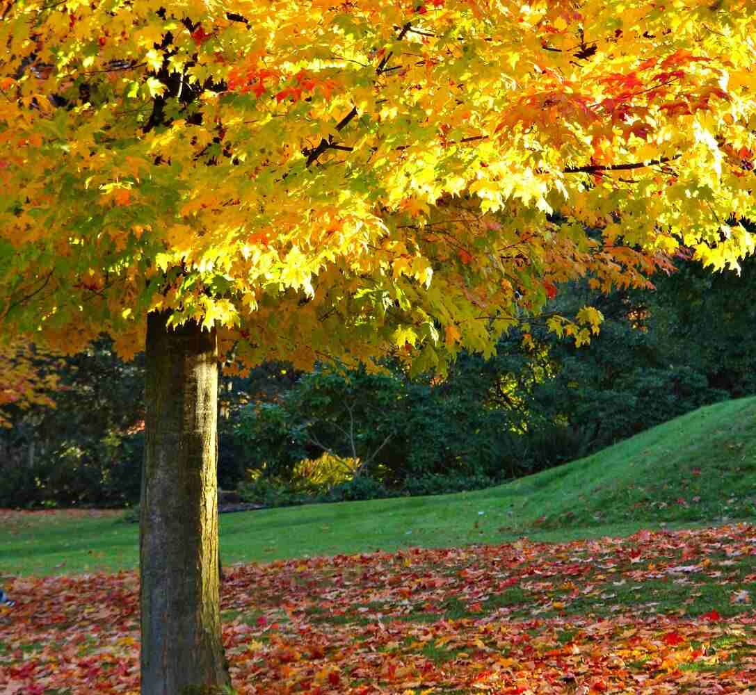 Fall Organization Tips