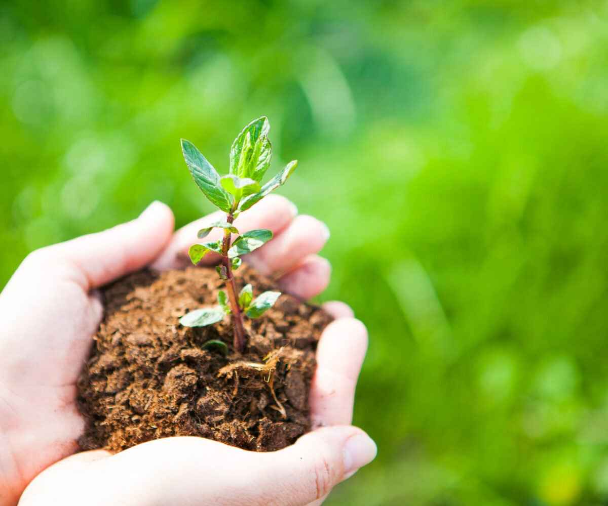 Earth Day Celebrations in Michigan