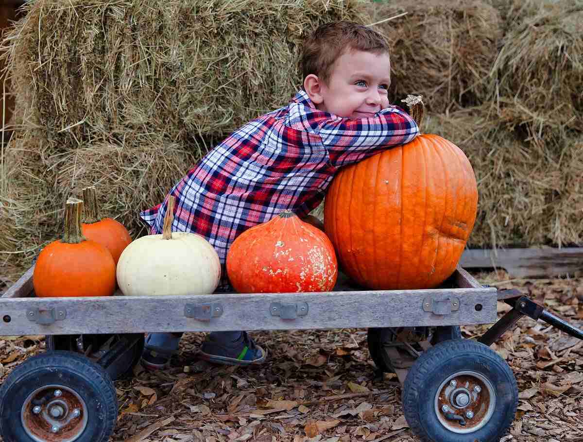 Fall Fun in Michigan for Families