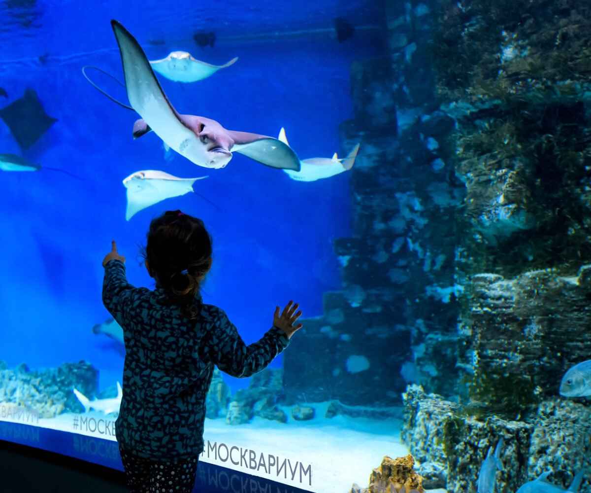 Fun Winter Indoor Activities for Kids in Michigan
