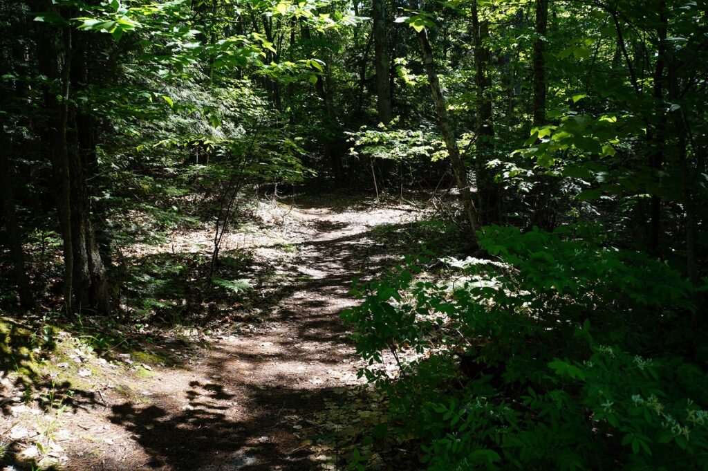 Great Hiking Trails Near Detroit