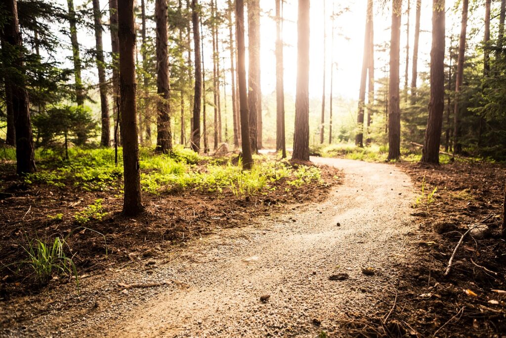 Happy 75th Anniversary to the Huron-Clinton Metroparks