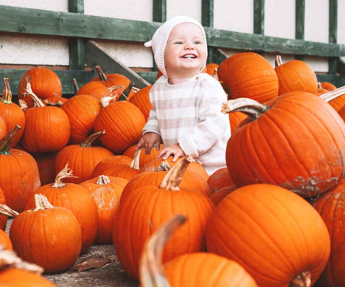 Detroit, Grand Rapids and Ann Arbor, Michigan Pumpkin Patches