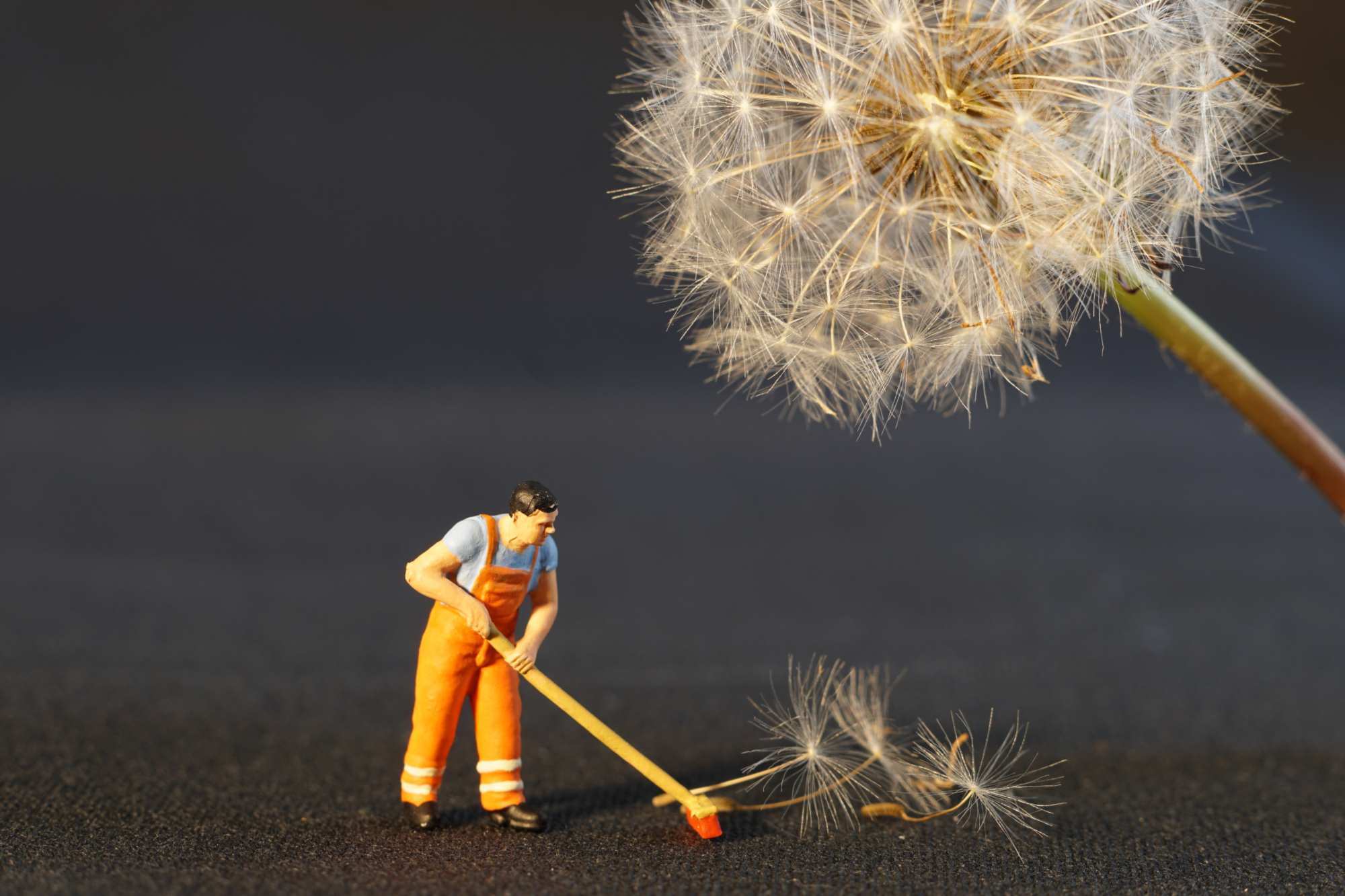Avoiding the Dread of Spring Cleaning