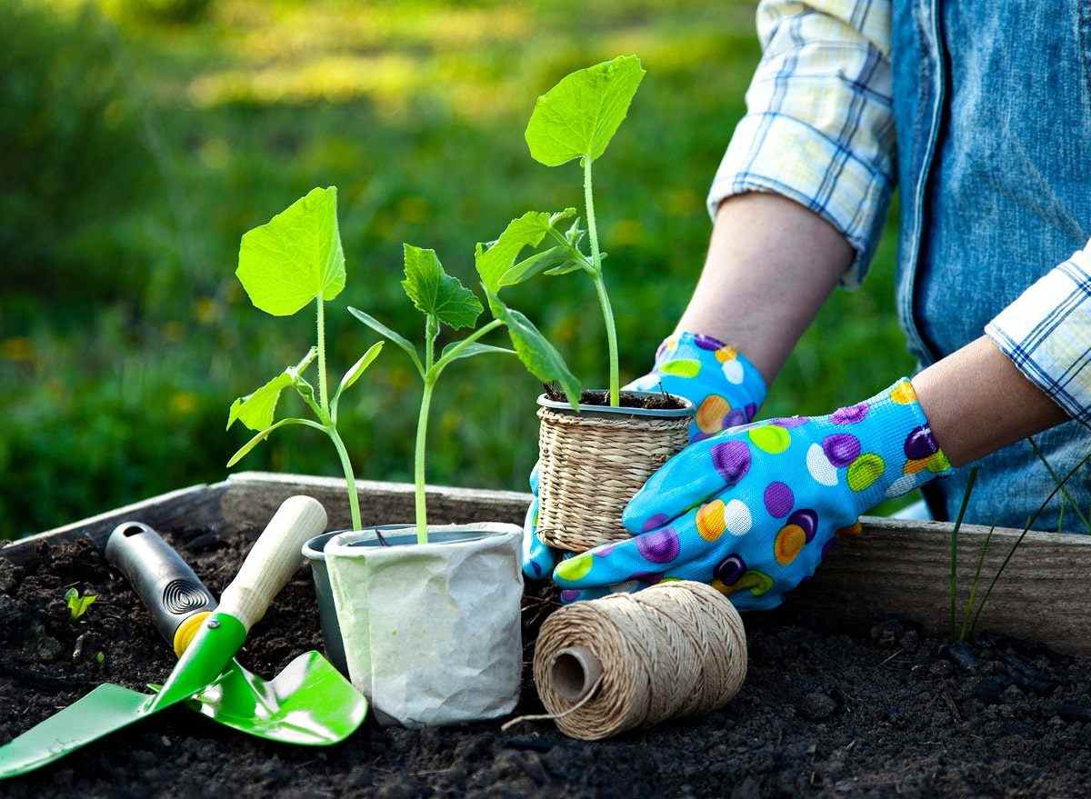 Must-Follow Spring Gardening Tips