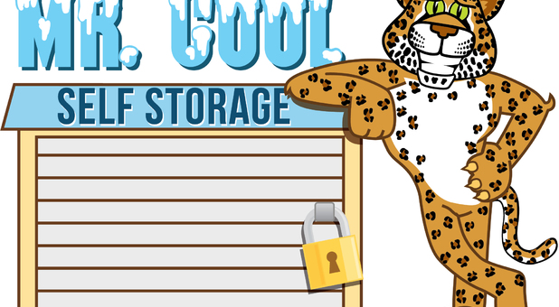 Mr. Cool Self Storage Facility La Grange Texas