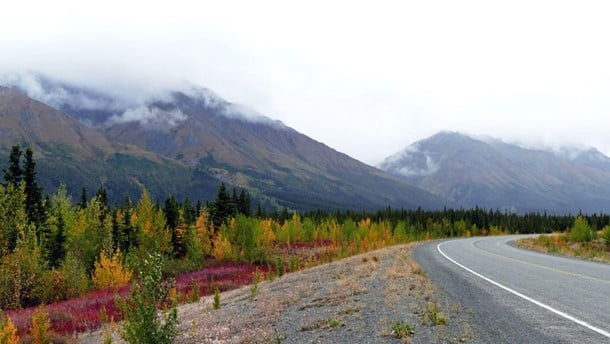 A picture of a road with trees with fall colors in the distance