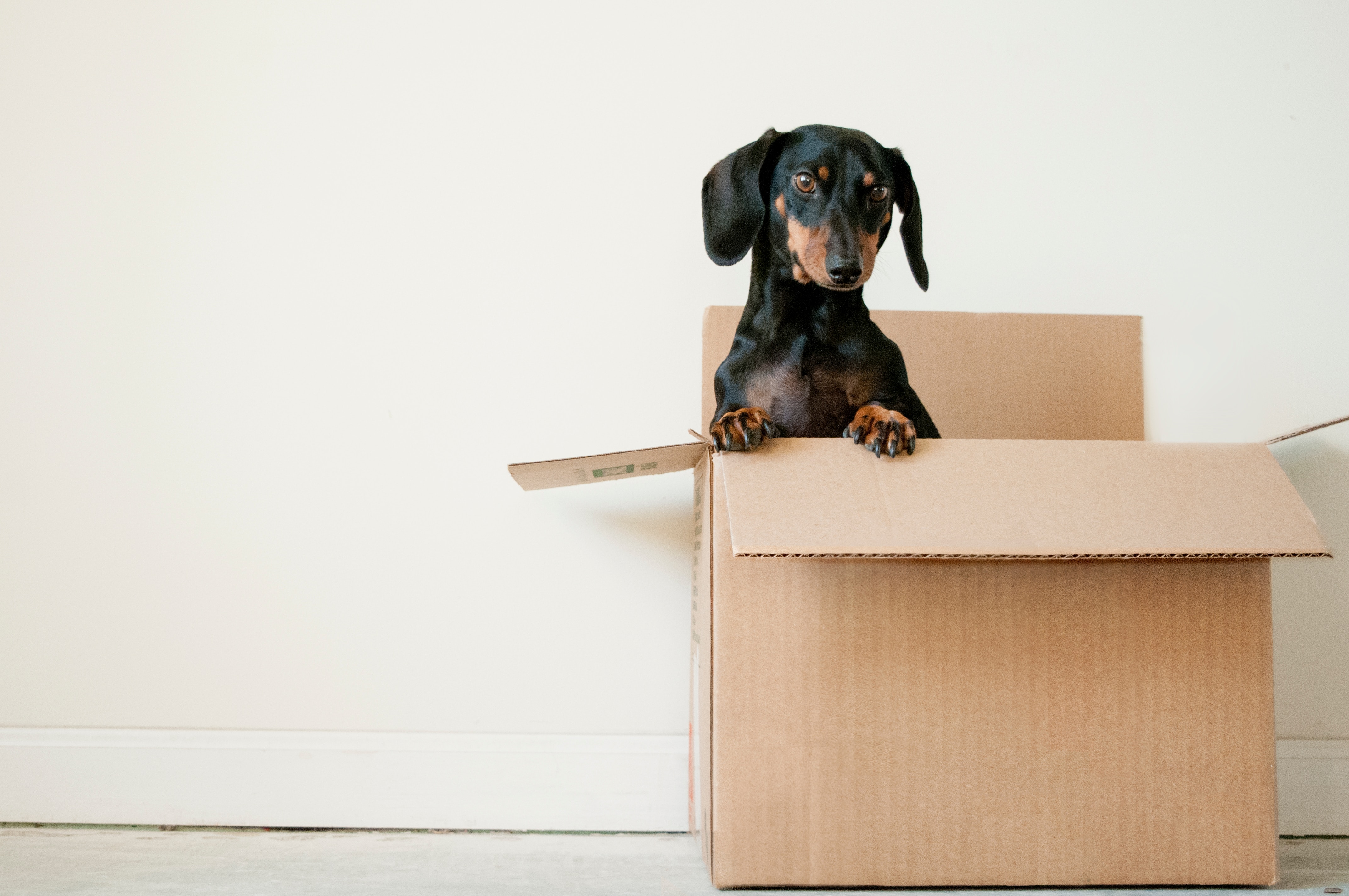 Stress-Free Moving: A Comprehensive Guide to Relocating with St. Joseph Self Storage