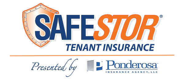 SafeStor logo