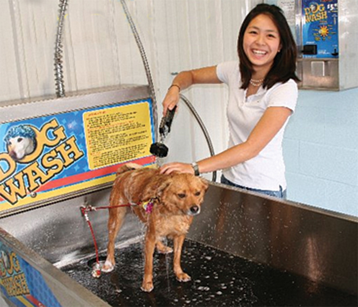 Dog Wash in Tuscon, AZ