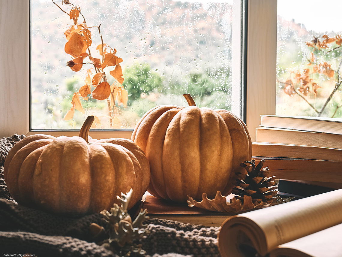 Prepare Your Home for Autumn and the Holidays with Seasonal Storage Solutions | Countryside Self Storage