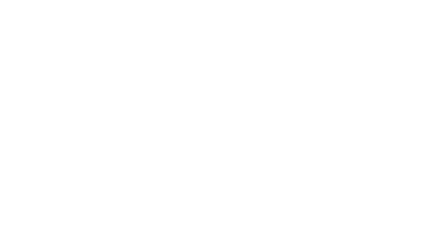 Storage Wise of Traveler's Rest Logo