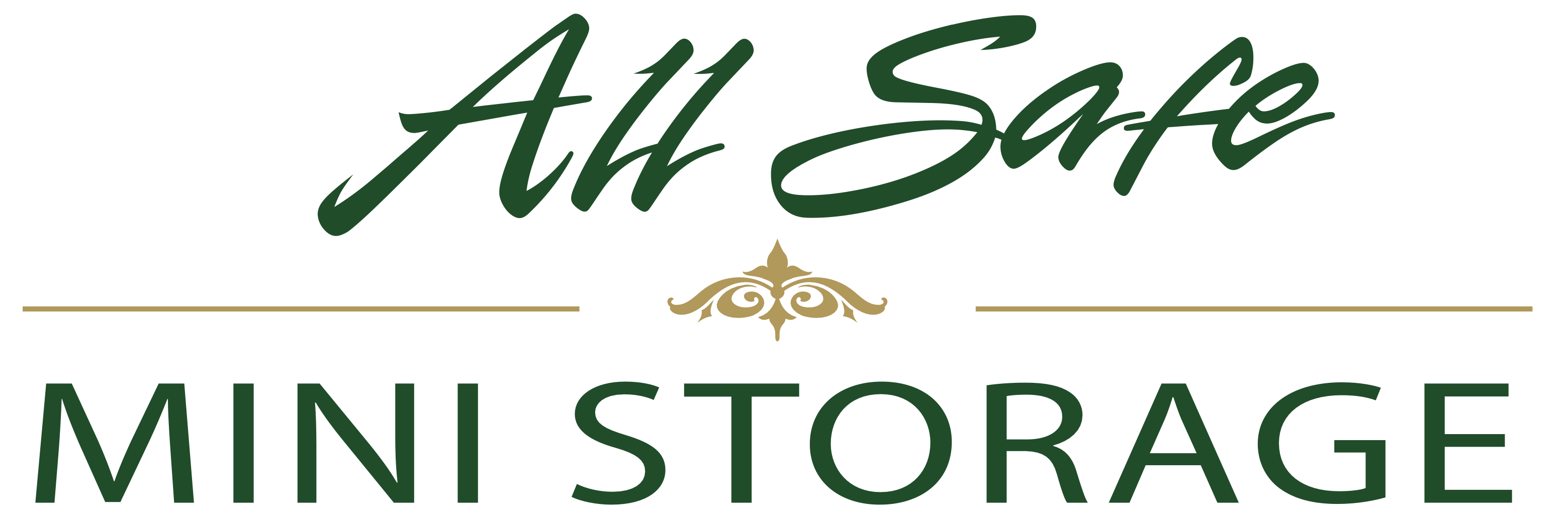 All Safe Mini Storage Logo All Safe Mini Storage Logo