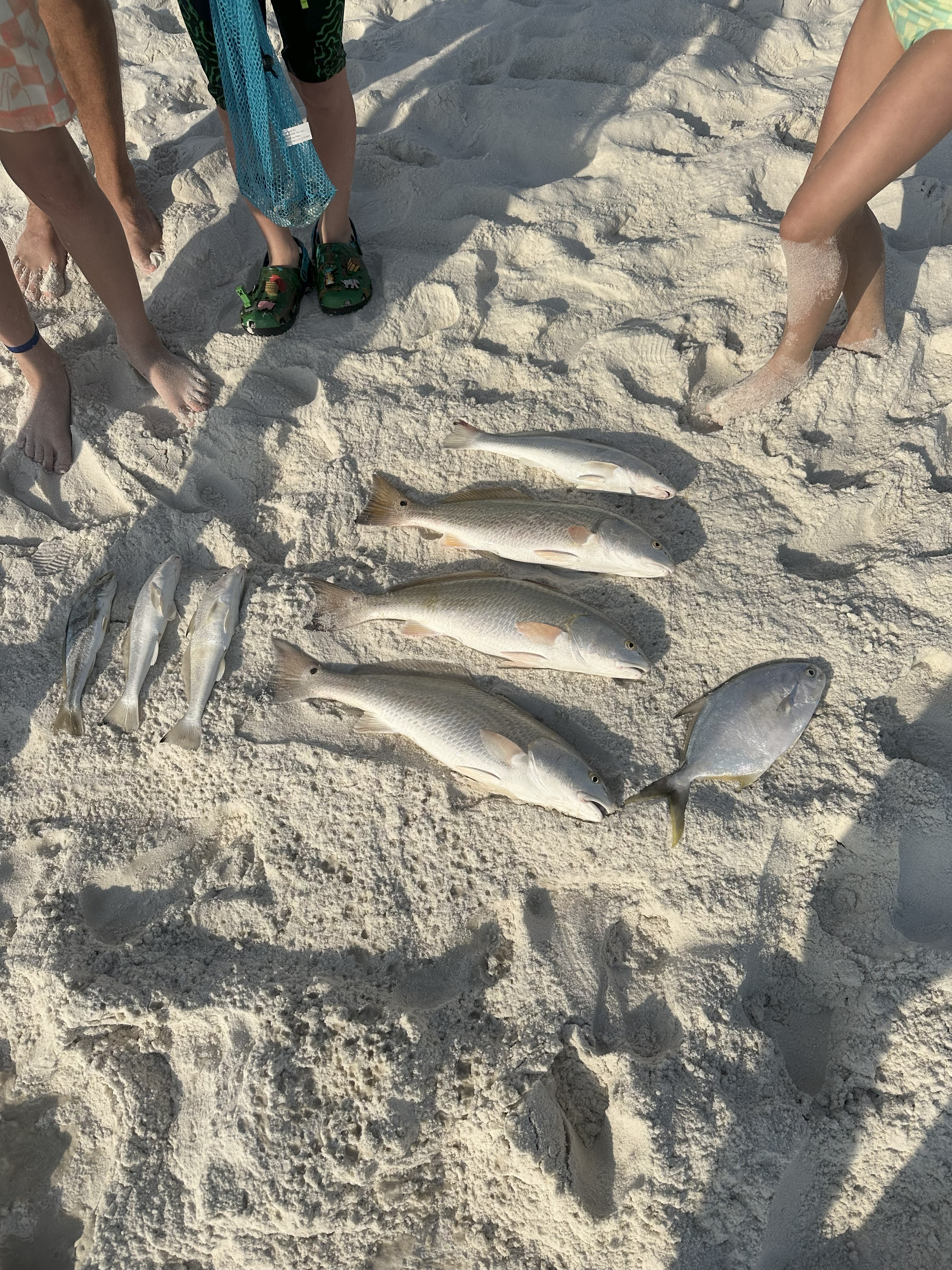 Fish Varieties in Santa Rosa Beach, FL