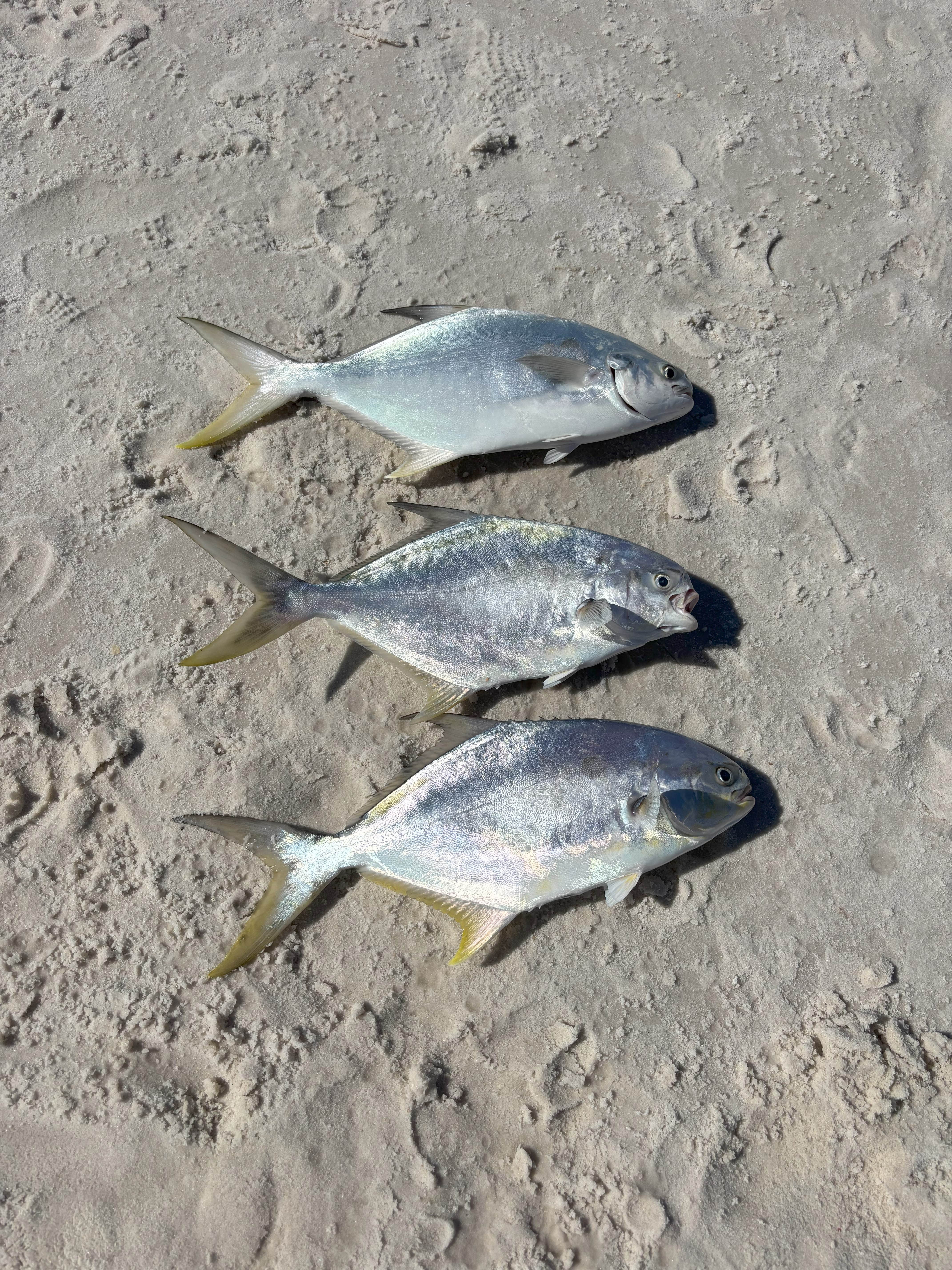 Fishing and Cooking in Santa Rosa Beach, FL
