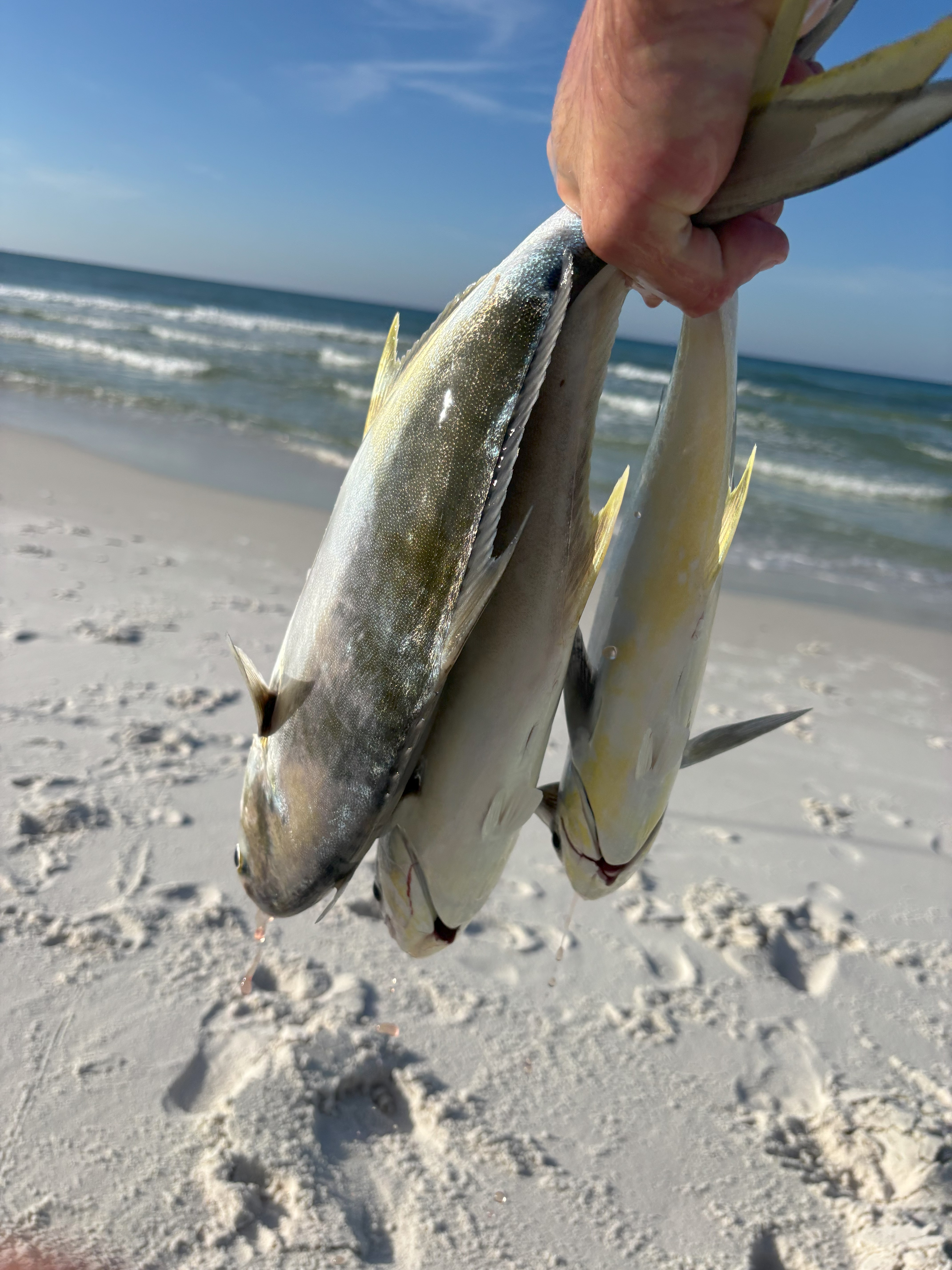 Fishing Experience in Santa Rosa Beach, FL